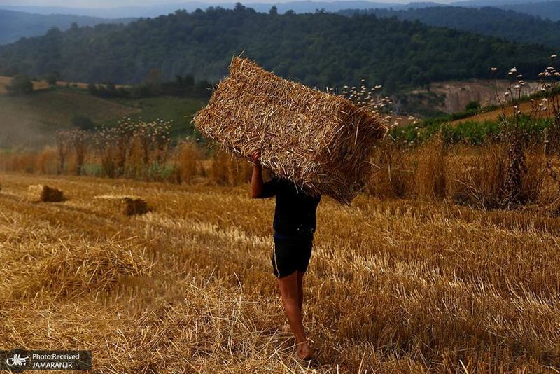 منتخب تصاویر امروز جهان- 9 تیر 1400