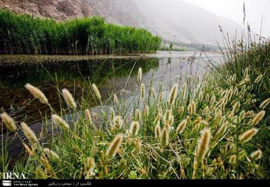 بارندگی ها سراب ها و تالاب های کرمانشاه را احیا کرد