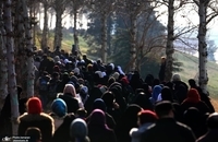 photo_2019-01-24_15-37-33