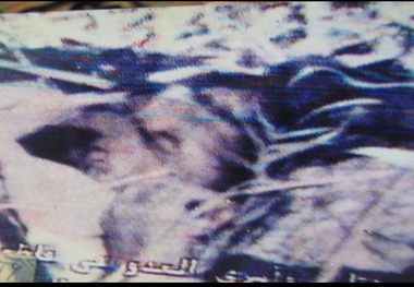 یادداشت انتقادی برادر شهید یوسف زاده: نیست که ببیند چه بر سر آرمانهایش آمده است