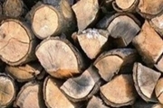کشف 1.6 تن چوب جنگلی قاچاق در شهرستان لردگان