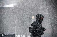 یخبندان آمریکا