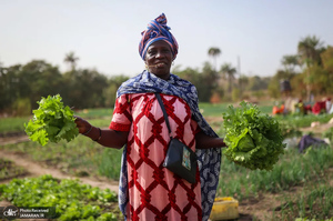 منتخب تصاویر امروز جهان - 4 و 5 اسفند 1403