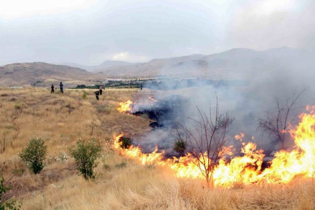 چهار هکتار از مراتع طبیعی شیراز در آتش سوخت