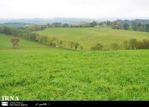 دو میلیون هکتار از مراتع هرمزگان در طرح حفاظت مشارکتی قرار گرفت