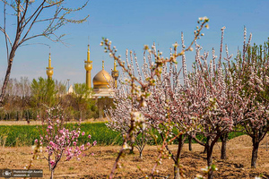 حال و هوای بهاری در حرم مطهر امام خمینی (س)