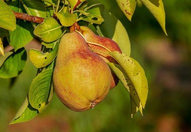 این 10 مورد به شما کمک می‌کند تا چربی شکمتان را از بین ببرید