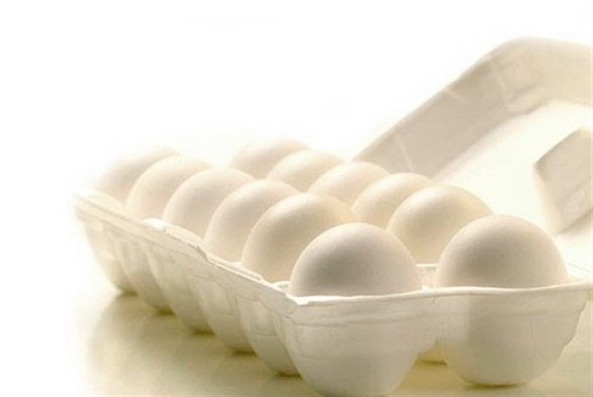 نشانه‌های فاسد شدن تخم مرغ/ چگونه باید از تخم‌مرغ ها نگهداری کنیم؟