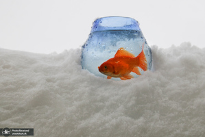 منتخب تصاویر امروز جهان - 2 فروردین 1401