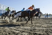 درخشش سوارکاران خوزستانی در رقابت های اسب دوانی قهرمانی کشور