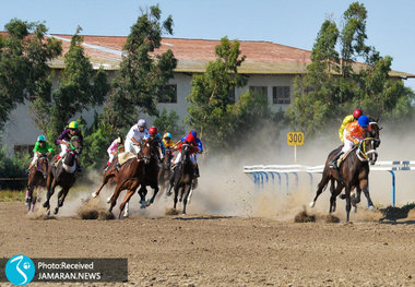 فوت تلخ اسب سوار در کورس گلستان