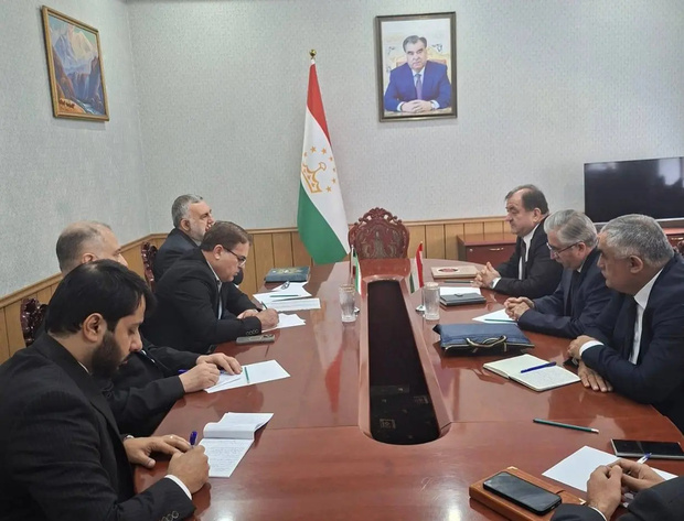 زبان فارسی، مهم‌ترین پیوند تاریخی دو ملت ایران و تاجیکستان