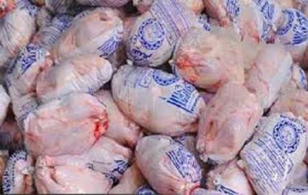 خرید مرغ با شرایط ویژه از تولیدکنندگان کهگیلویه و بویراحمد آغاز شد