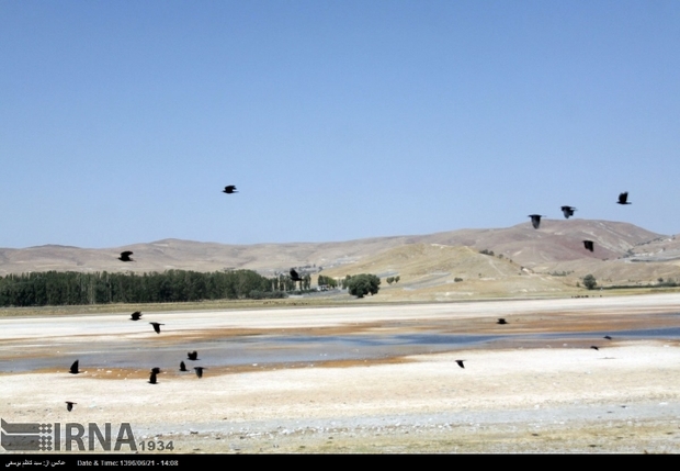 آغاز انتقال آب به تالاب بین‌المللی قوری‌گول