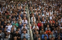 نماز عید سعید فطر در حرم امام علی (ع) در نجف اشرف (3)