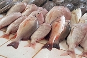 قیمت جدید انواع ماهی اعلام شد، 16 مهر