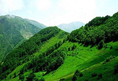 چرا «جنگل دیزمار» ایران ثبت جهانی نشد؟
