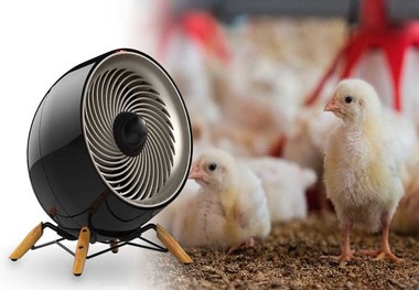 روش های گرم کردن سالن کوچک پرورش پرنده