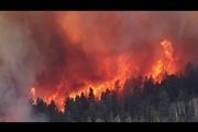 تصاویر/ آتش سوزی گسترده در غرب آمریکا