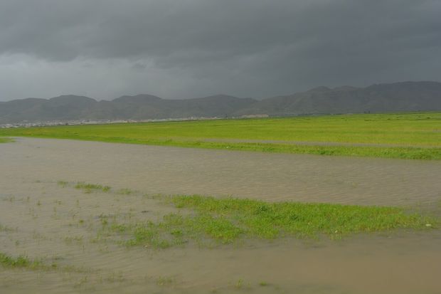 سیل زدگان بخش کشاورزی ایذه تسهیلات می‌گیرند