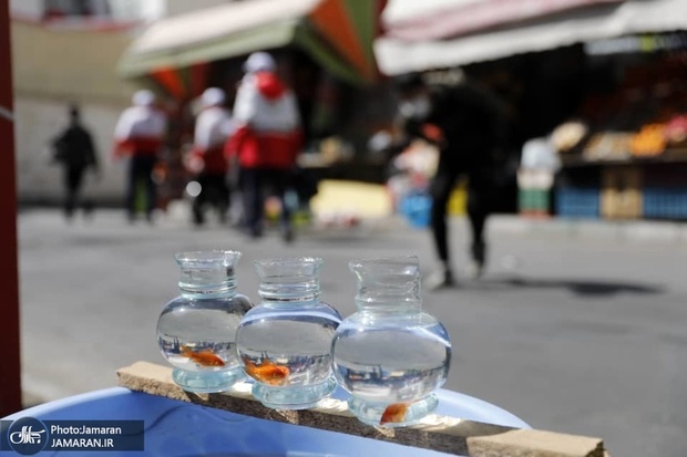 تعجب نویسنده آمریکایی از رفتار ایرانی‌ها در مواجهه با کرونا: کاش مردم دنیا از ایرانی‌ها یاد بگیرند