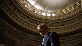 توئیت ویکی لیکس درباره سرنوشت ترامپ!