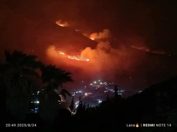 آتش‌سوزی گسترده در کوه‌های علوی غرب سوریه + عکس و فیلم