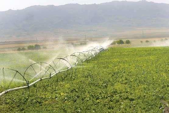 مصرف آب در اراضی زراعی آذربایجان غربی 22 میلیون مترمکعب کاهش یافت