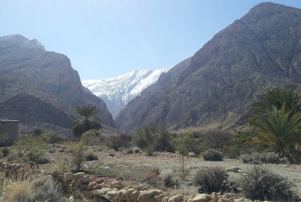 ارتفاعات کوهشاه احمدی برفی شد
