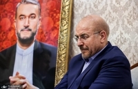 دیدار قالیباف با خانواده سه تن از شهدای پرواز اردیبهشت (5)