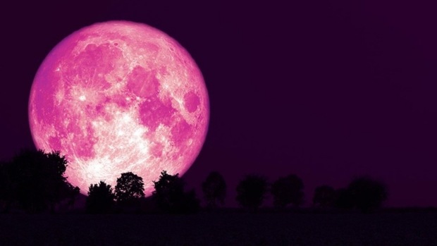 امشب ماه صورتی می‌شود
