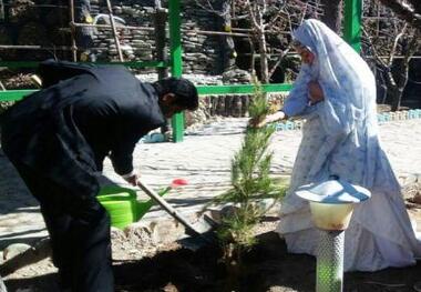زوج خوش ذوق جیرفتی با کاشت نهال زندگی خود را آغاز کردند