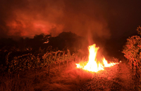 هفتمین روز آتش سوزی در کالیفرنیا