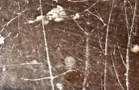 سنگ نگاره مرودشت 
