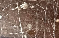 سنگ نگاره مرودشت 