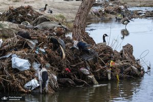 منتخب تصاویر امروز جهان - 14 دی 1401
