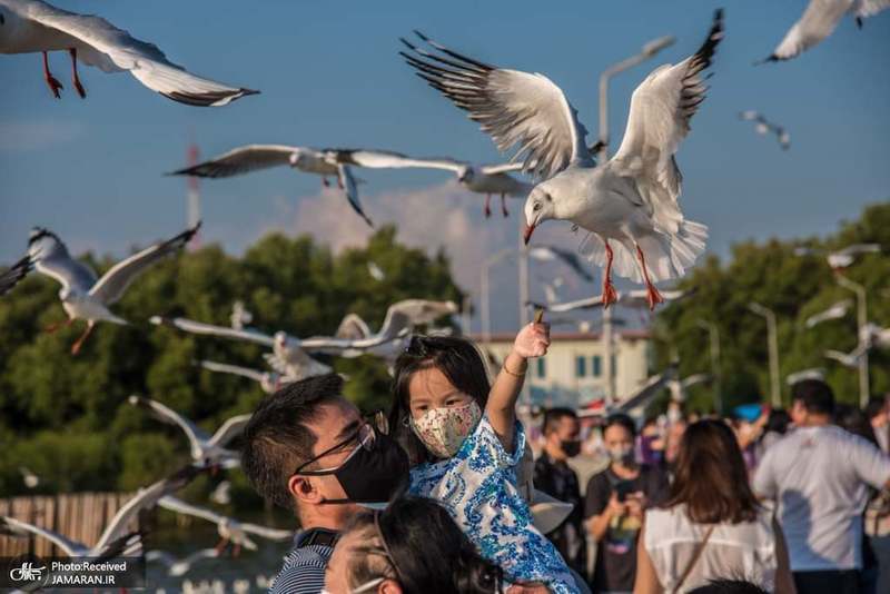 منتخب تصاویر امروز جهان- 1 آذر 1400