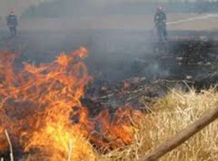 آتش سوزی در  گندمزارهای  سبزوار