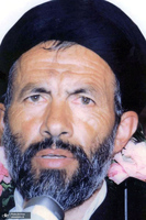 سید آزادگان؛ حجت الاسلام و المسلمین سید علی اکبر ابوترابی فرد به روایت تصویر