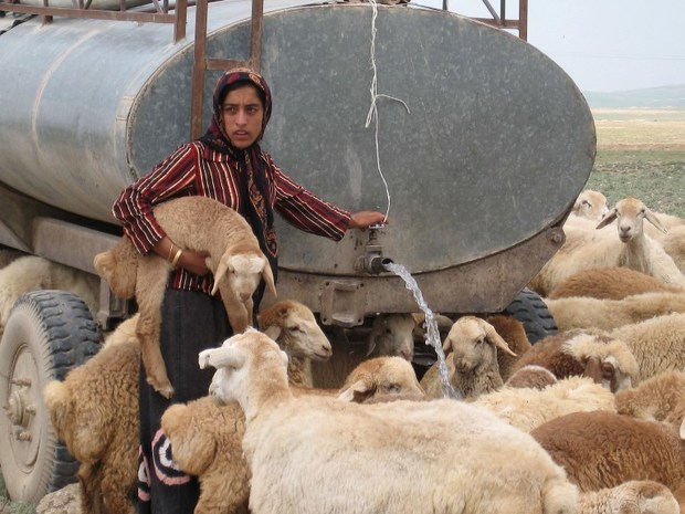 یک روز زندگی با زنان و دختران عشایر