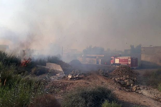 آتش سوزی عمدی در نخلستان های آبادان