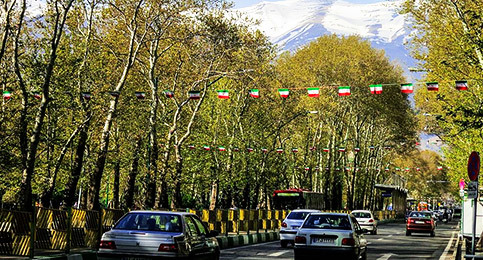 درختان جنسیت خود را تغییر می دهند