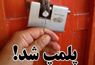 کشف ۳ تن آلوچه و لواشک غیر بهداشتی در قرچک کارگاه پلمب شد