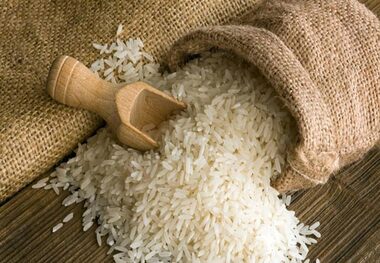 دوئل وزارت جهاد کشاورزی و واردکنندگان برنج بر سر قانون تمرکز

