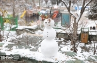 بهترین عکس ها از روز برفی تهران (6)