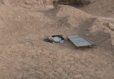 پسر 8 ساله میبدی طعمه سگ‌های وحشی شد