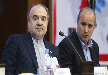 وزیر ورزش: دولت موافق واگذاری سرخابی‌ها بر اساس روال مجلس نیست
