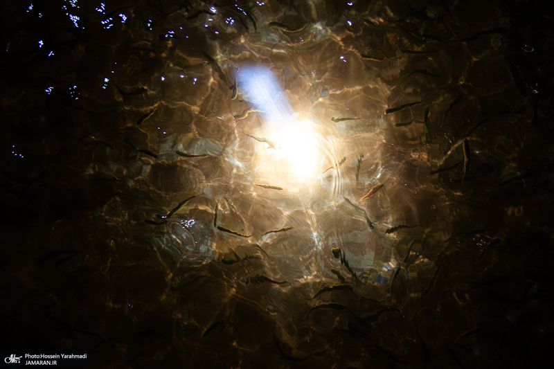 0040