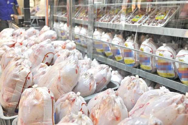 گرانی گوشت قرمز عامل افزایش قیمت مرغ است