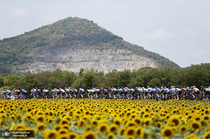 منتخب تصاویر امروز جهان - 30 تیر 1401